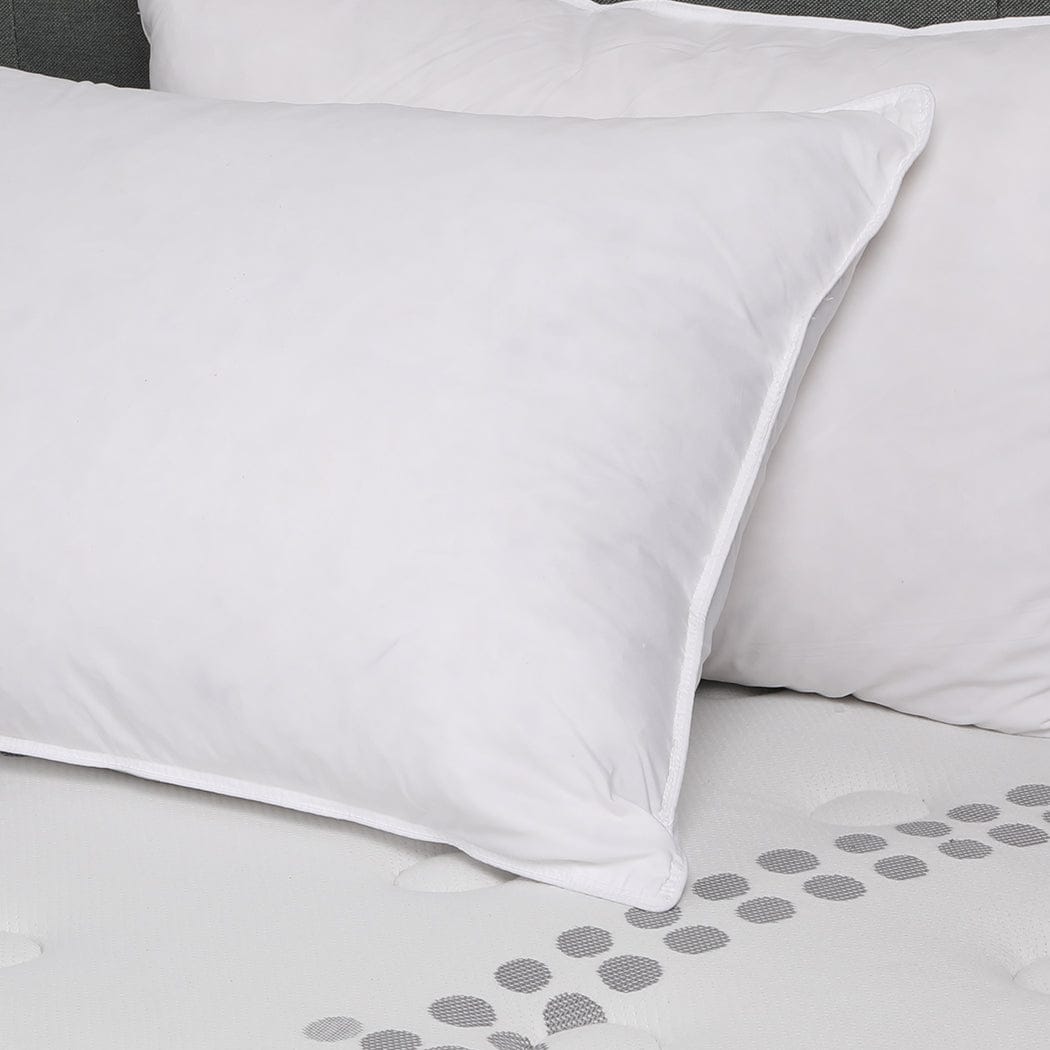 Dreamz Pillows/Cushions Luxury Goose Feather Pillows