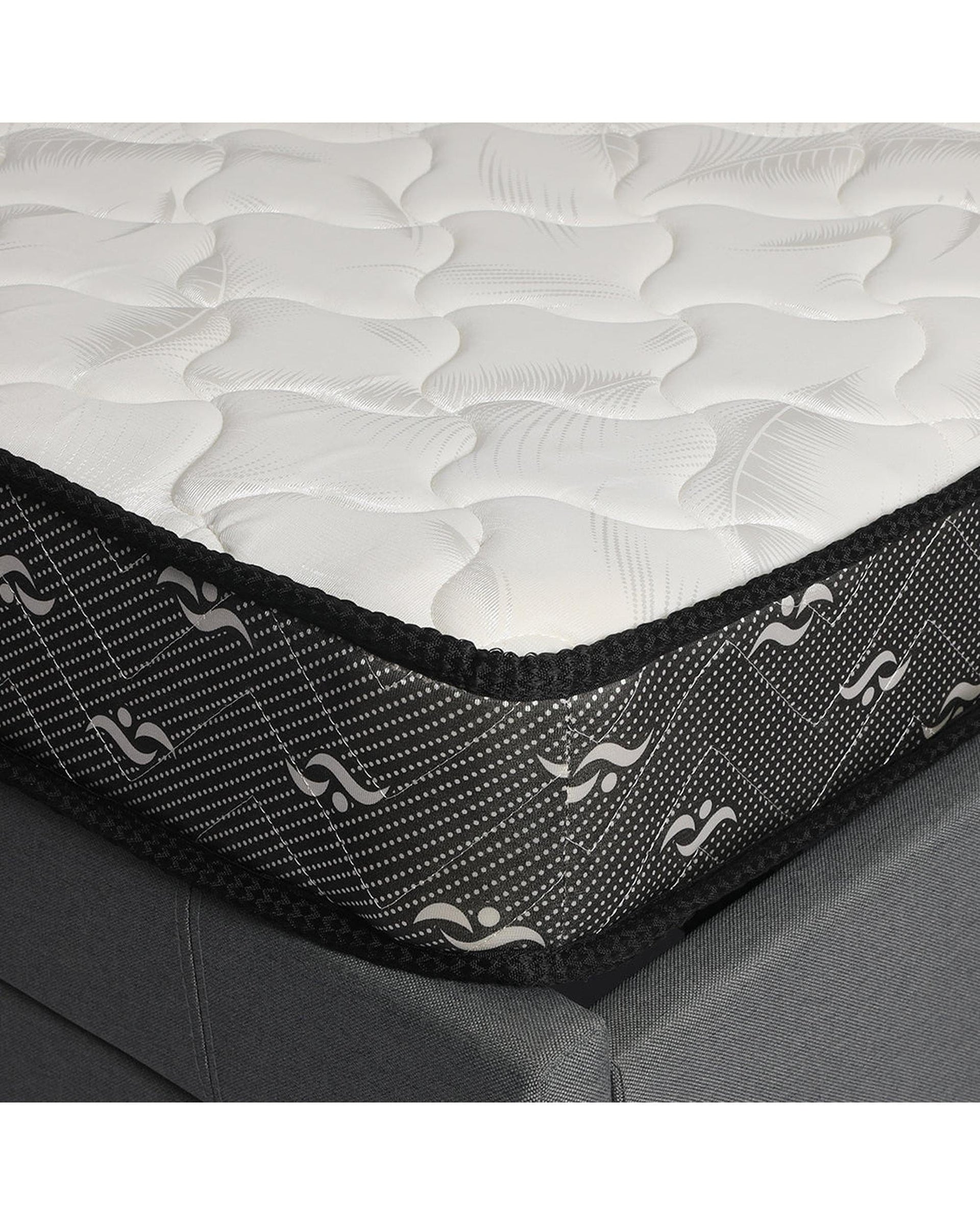 Dreamz Mattresses Premium Bed Top Spring Foam Medium Soft 16CM - Single