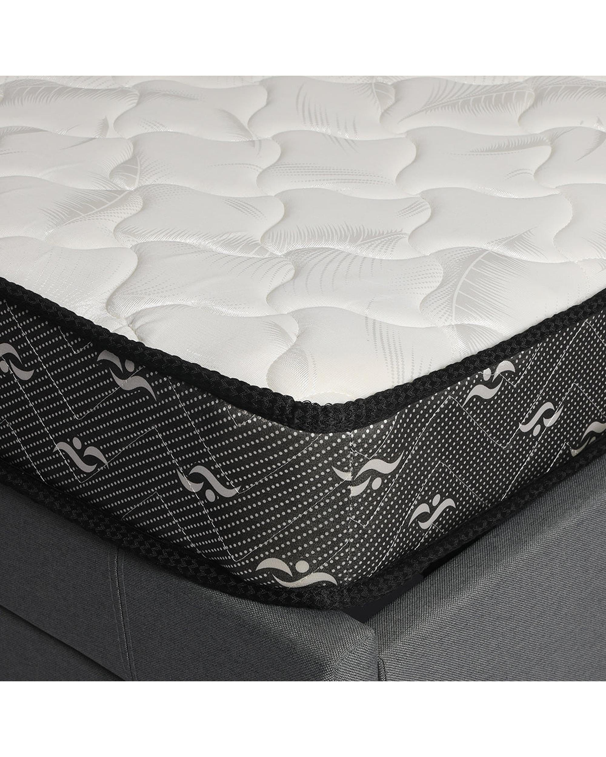 Dreamz Mattresses Premium Bed Top Spring Foam Medium Soft 16CM - Single