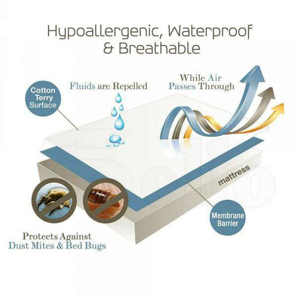 TERRY COTTON FULLY FITTED WATERPROOF MATTRESS PROTECTOR - Single Dreamz