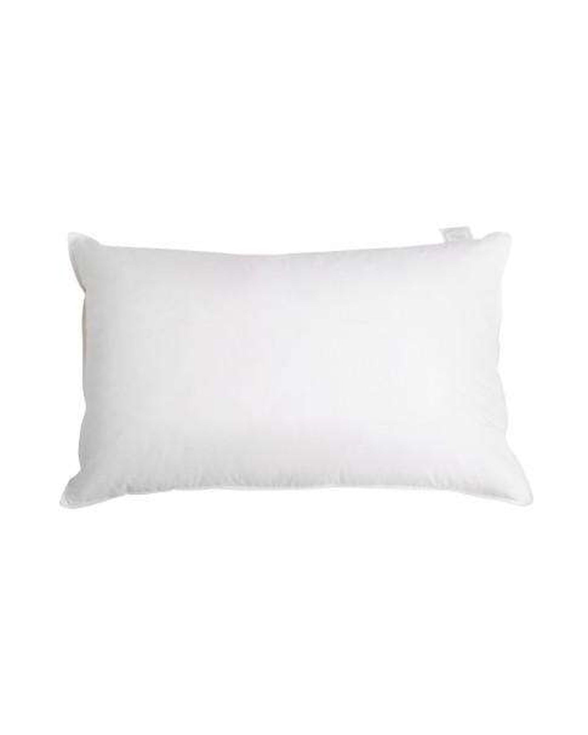 Giselle Pillows/Cushions Set of 2 Goose Feather and Down Pillow - White