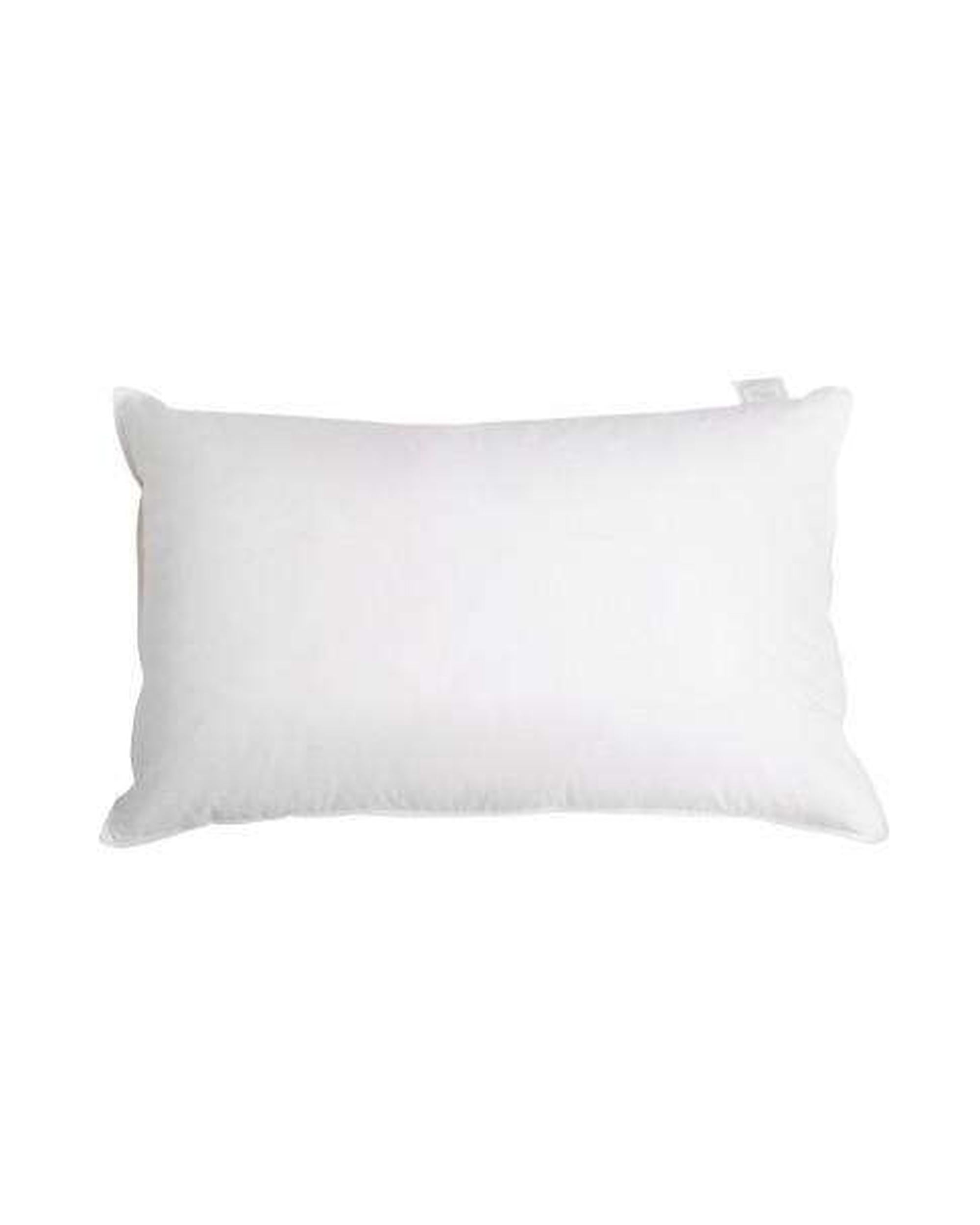 Giselle Pillows/Cushions Set of 2 Goose Feather and Down Pillow - White
