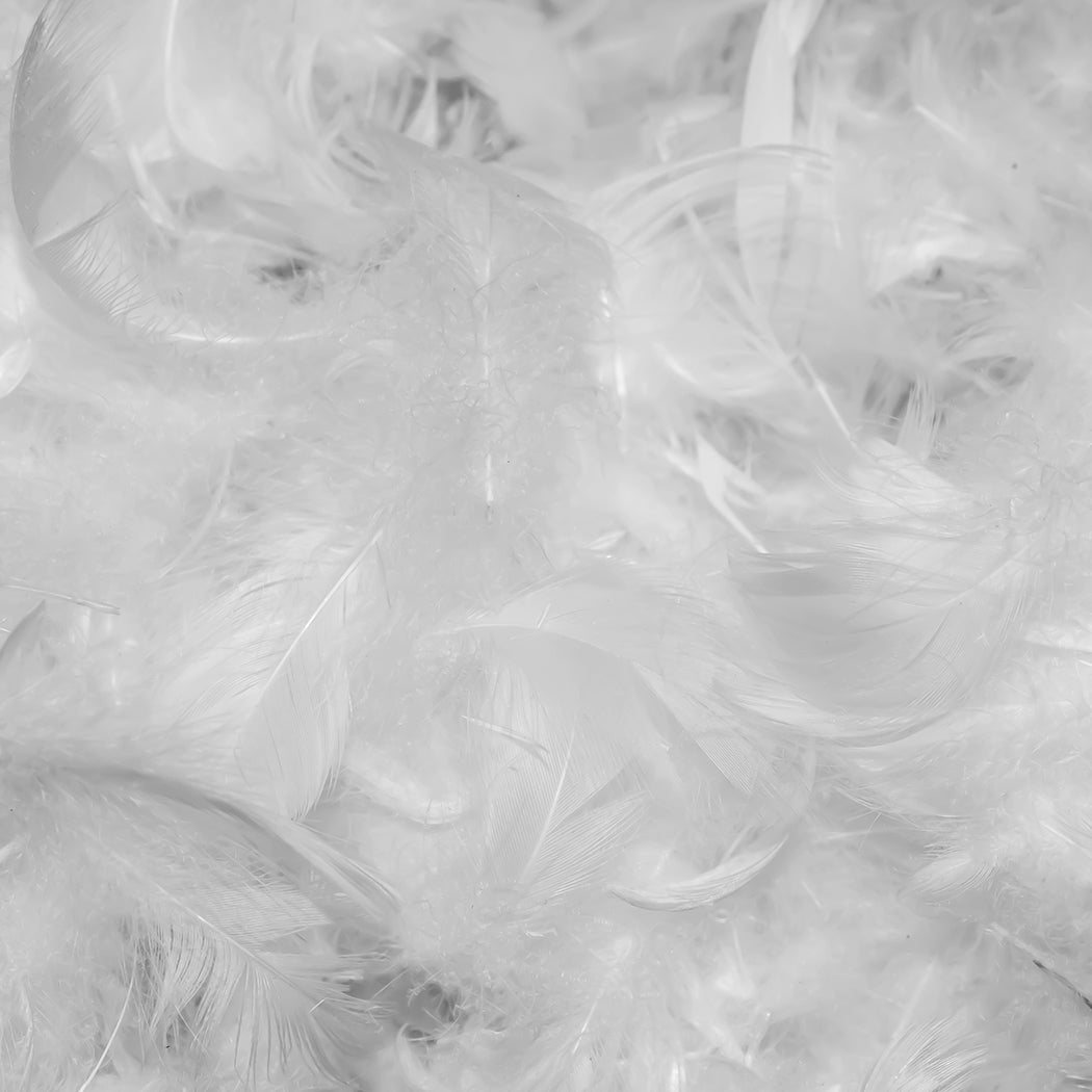 Luxury Goose Feather Pillows Dreamz