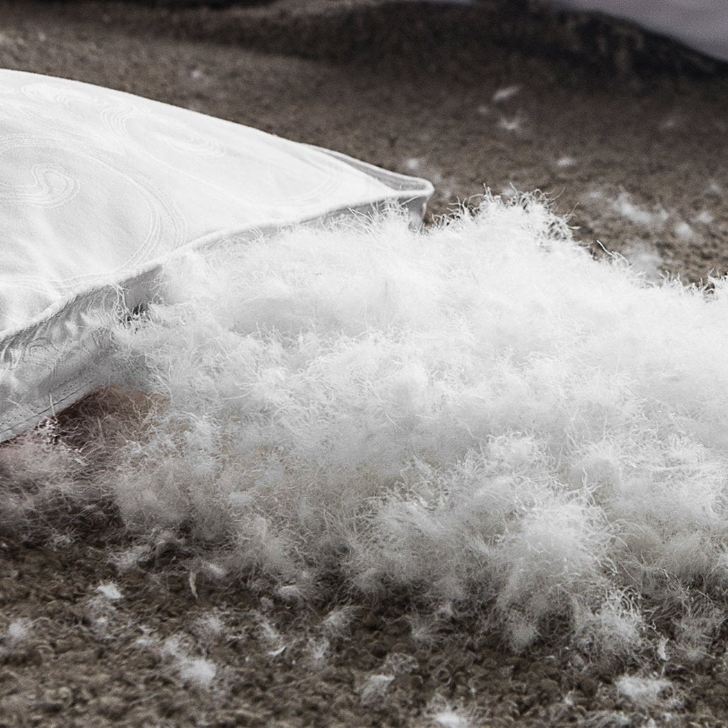 700GSM All Season Duck Down Feather Filling Duvet in Queen Size Dreamz