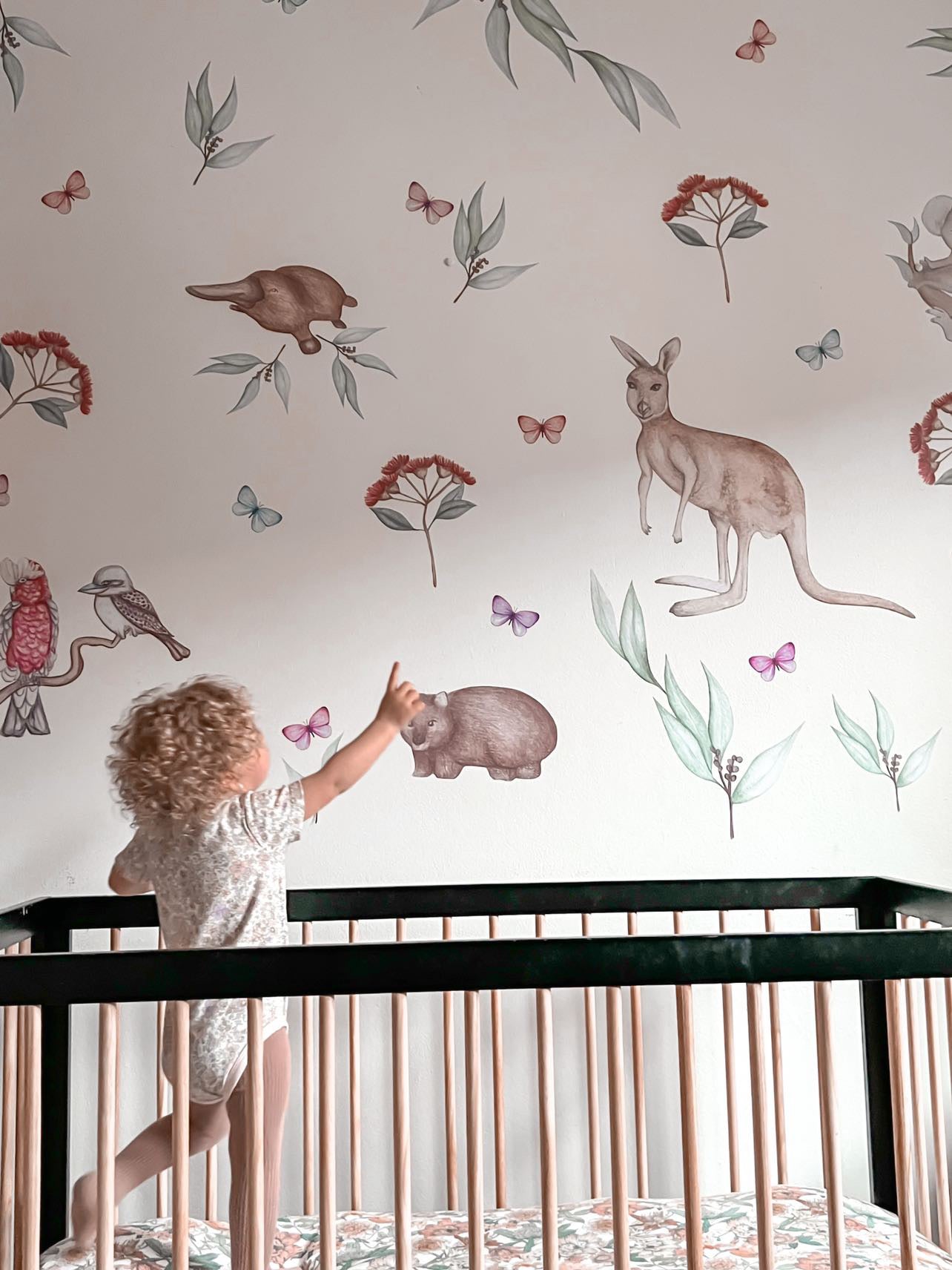 Kids Australian animal wall decal