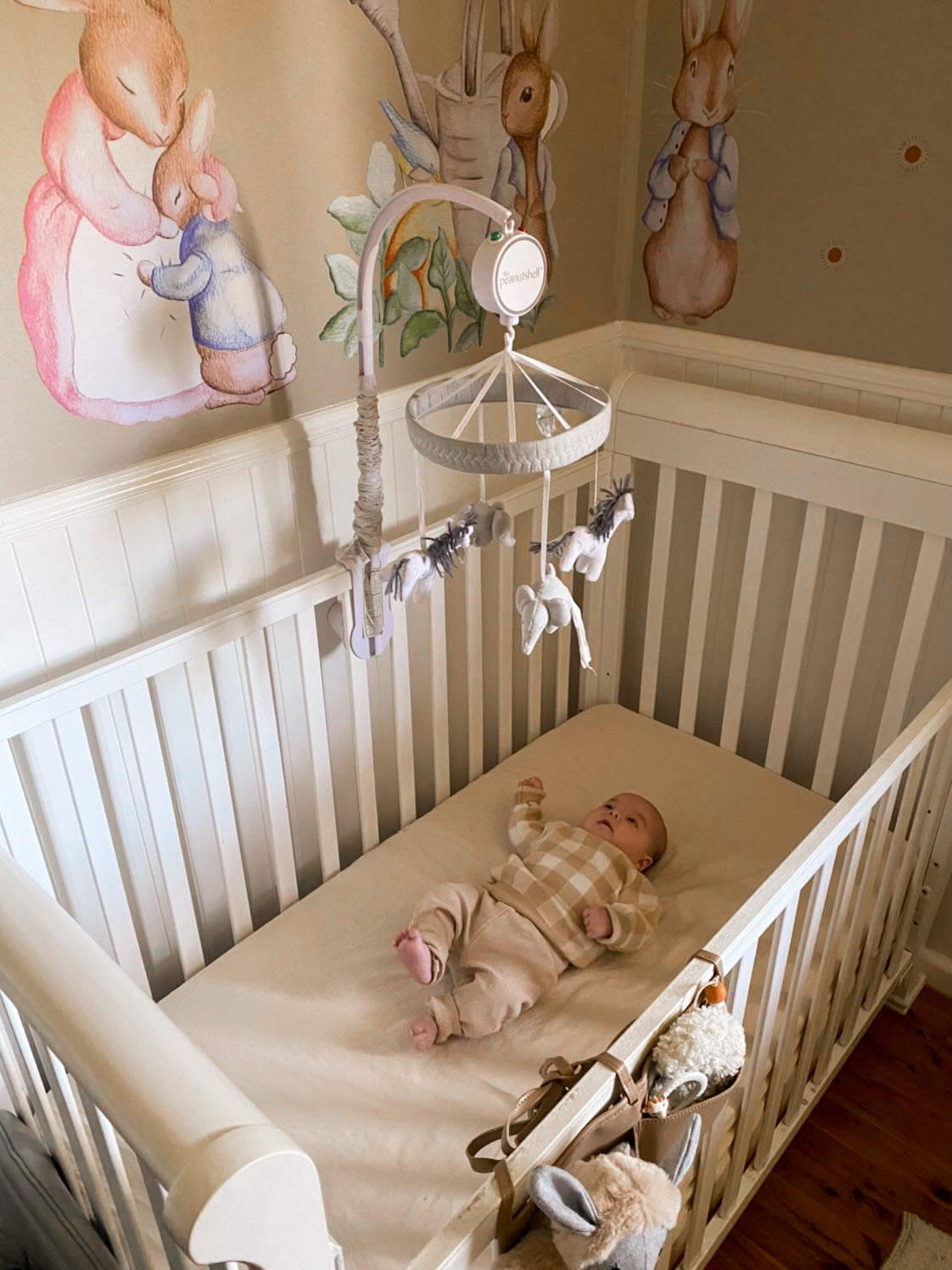 Peter Rabbit Wall Decals