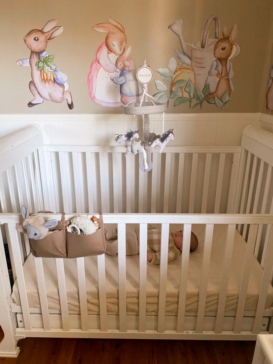 Peter Rabbit Wall Decals