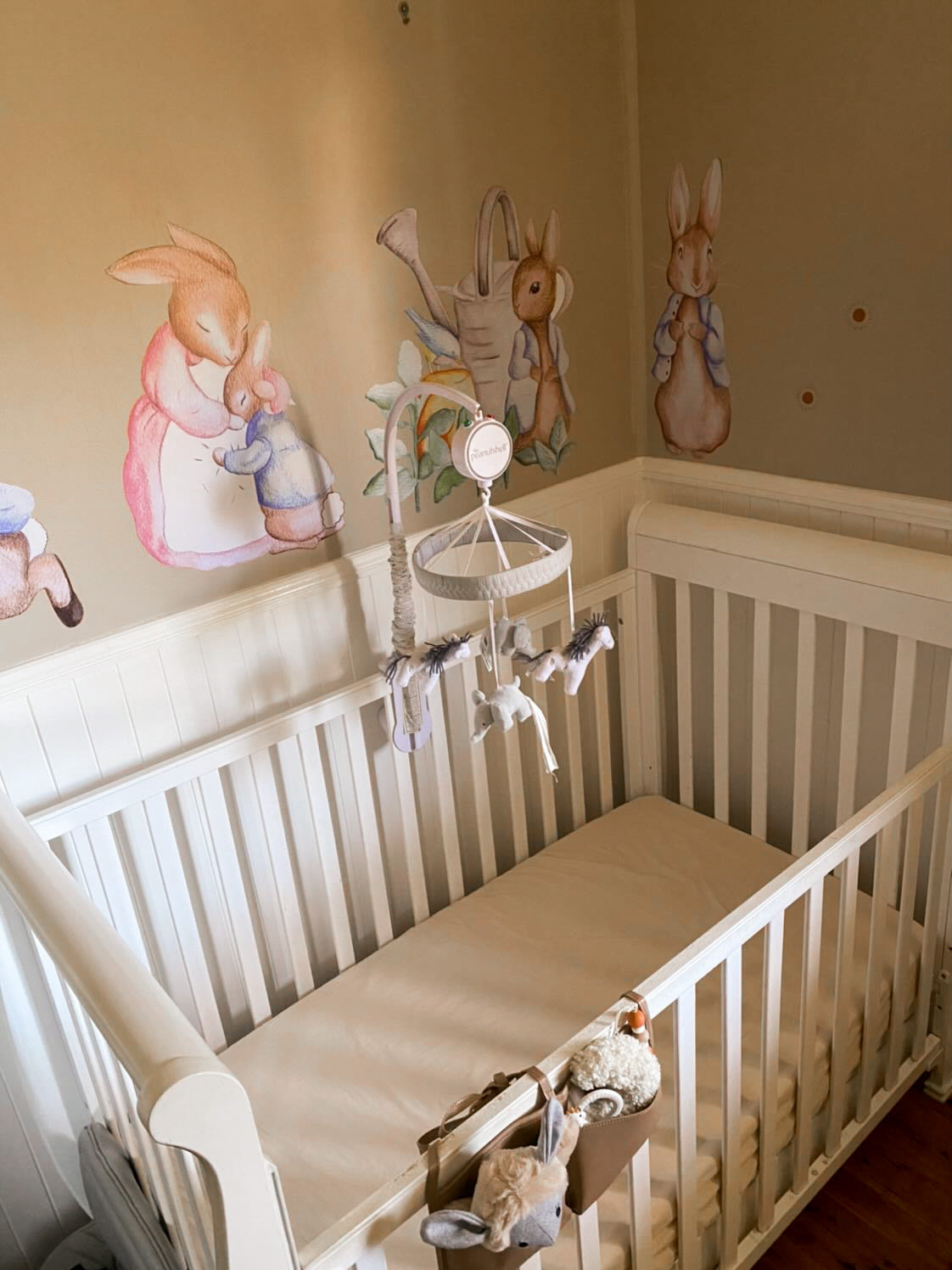 Peter Rabbit Wall Decals