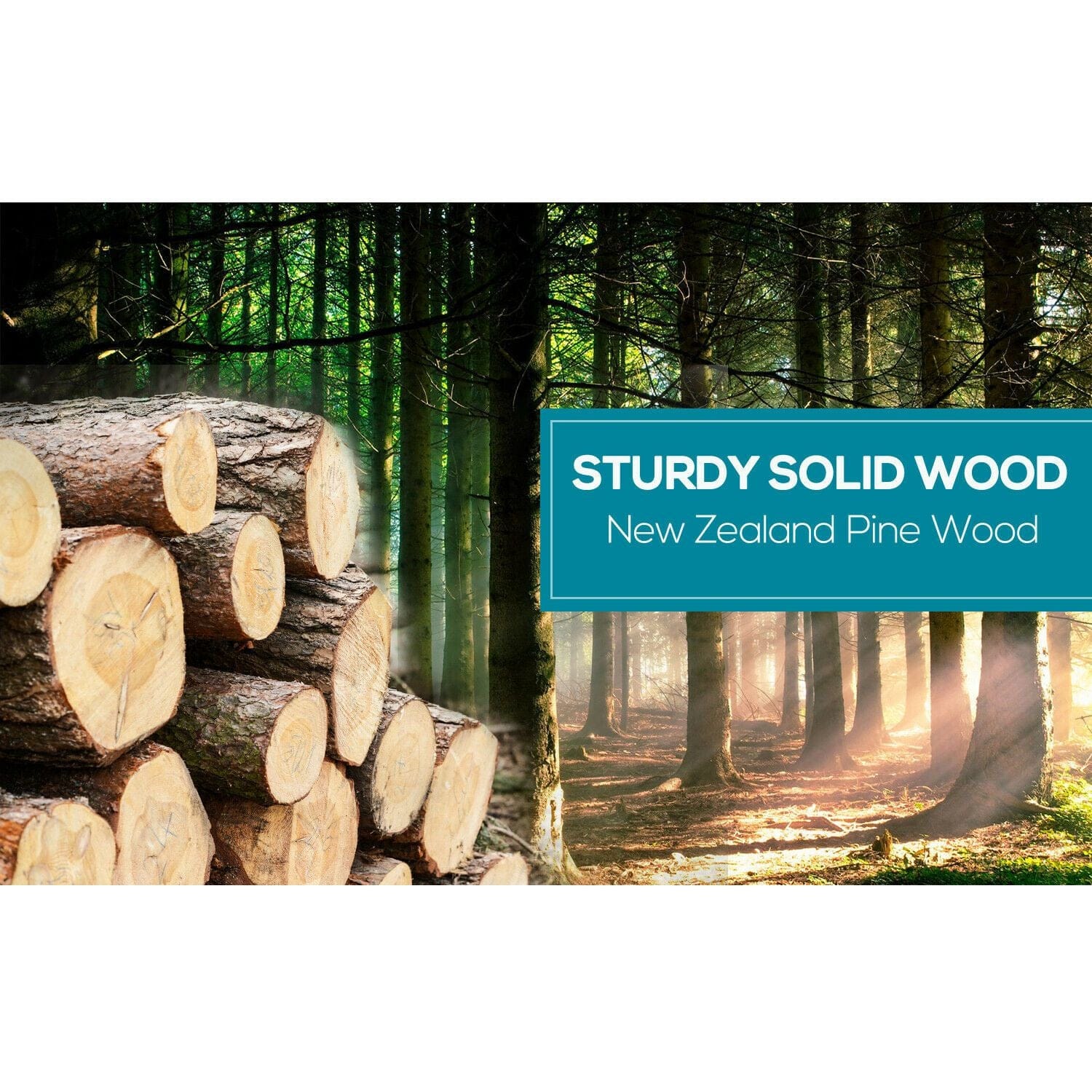 Levede Room Divider 8 Panel Free Standing Foldable  Room Divider Privacy Screen Black Frame