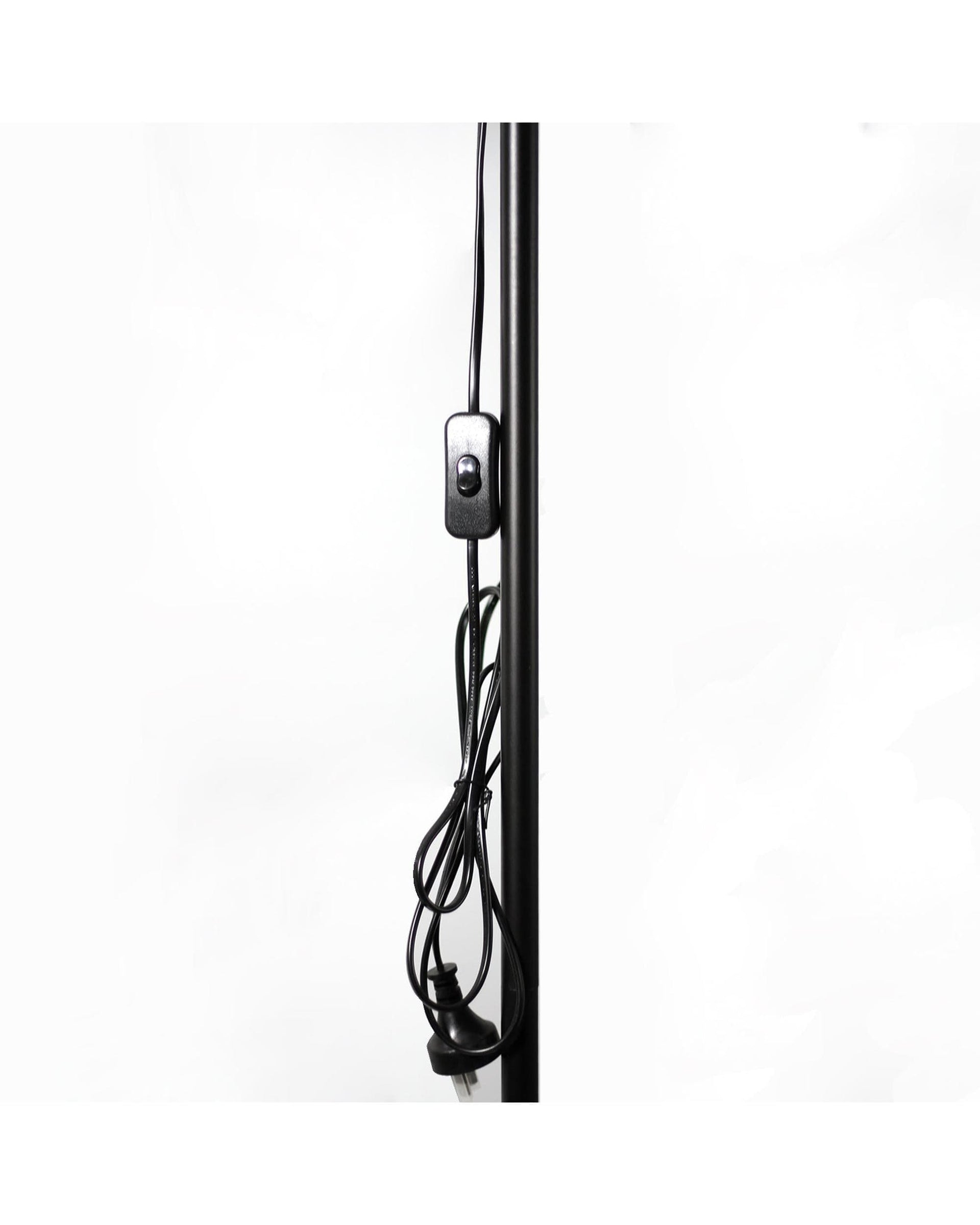 Lexi Lighting Floor Lamp Ora Floor Lamp