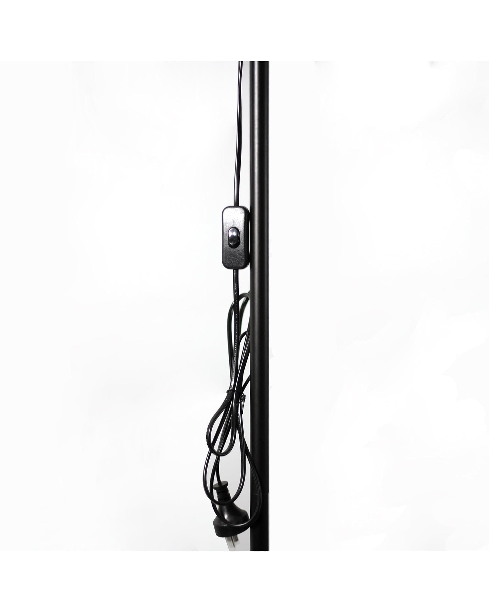 Lexi Lighting Floor Lamp Ora Floor Lamp