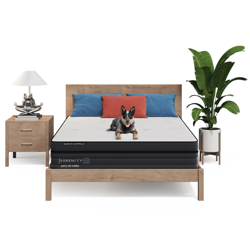 Oasis Sleep Mattresses Oasis Sleep Serenity Long Single Mattress – Medium