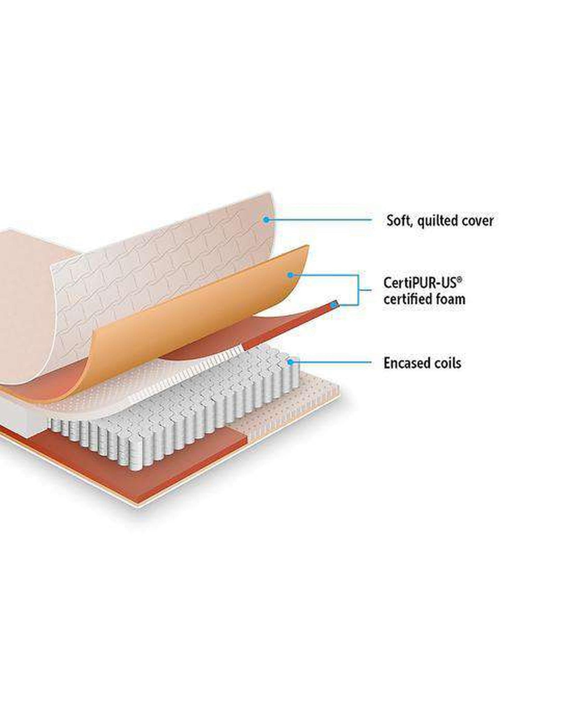 Palermo Mattresses Palermo Contour Firm Mattress