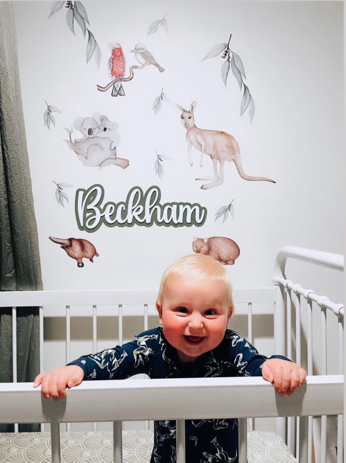 Polka Art Wall Decal Australian Animals Australian Design Hand Painted Peel & Stick, Removable Wall Decal. Nursery, Kids Playroom, Kids Teens Bedroom