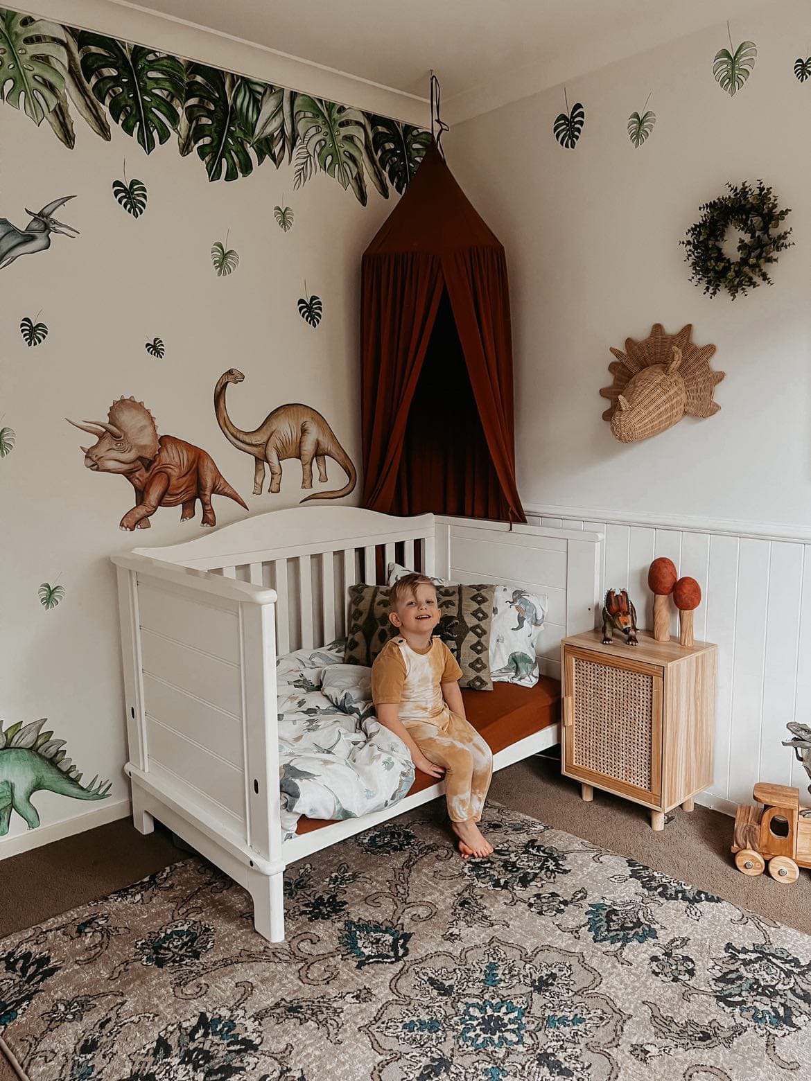 Polka Art Wall Decal Dinosaurs Wall Decals Australian Design Hand Painted Peel & Stick, Removable Wall Decal. Nursery, Kids Playroom, Kids Teens Bedroom