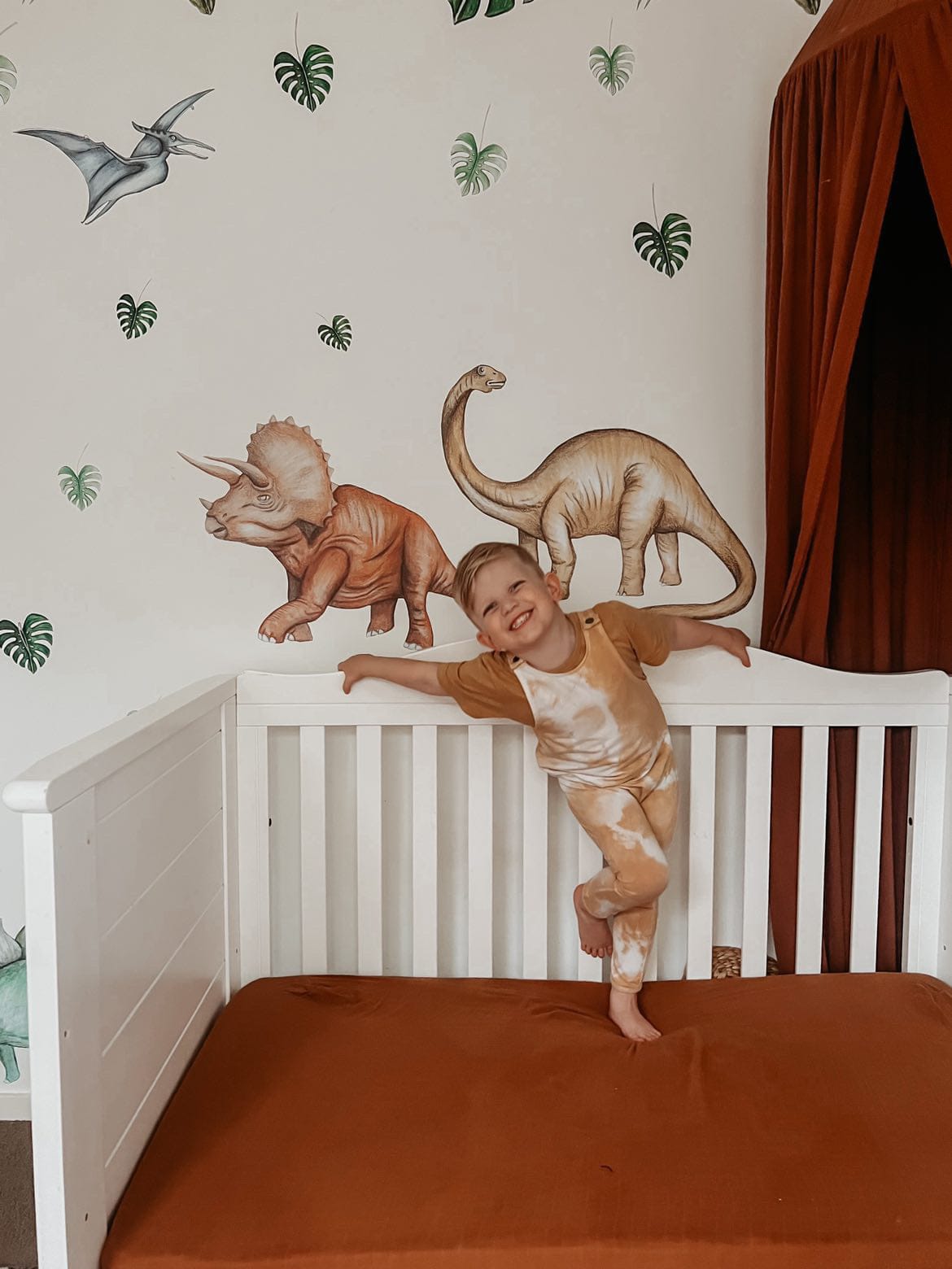 Polka Art Wall Decal Dinosaurs Wall Decals Australian Design Hand Painted Peel & Stick, Removable Wall Decal. Nursery, Kids Playroom, Kids Teens Bedroom