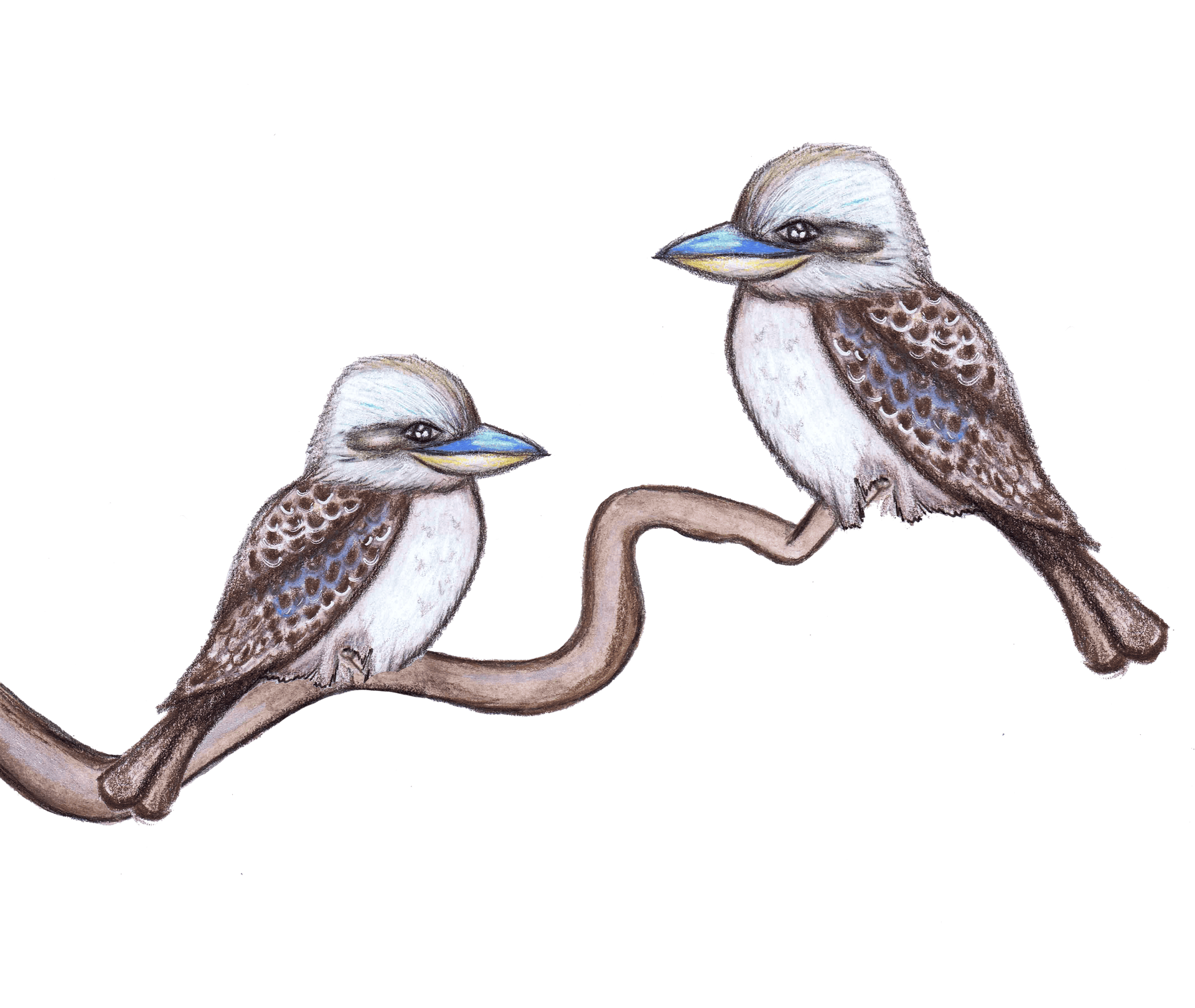 Polka Art Wall Decal Kookaburra Wall Decal Set Australian Design Hand Painted Peel & Stick, Removable Wall Decal. Nursery, Kids Playroom, Kids Teens Bedroom