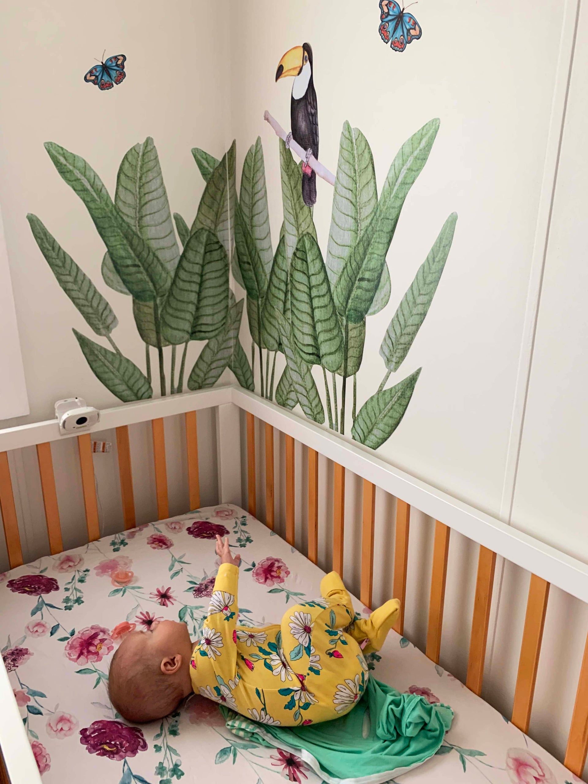 Polka Art Wall Decal One Size (1.25m x 62.5cm) Wild Ferns Australian Design Hand Painted Peel & Stick, Removable Wall Decal. Nursery, Kids Playroom, Kids Teens Bedroom