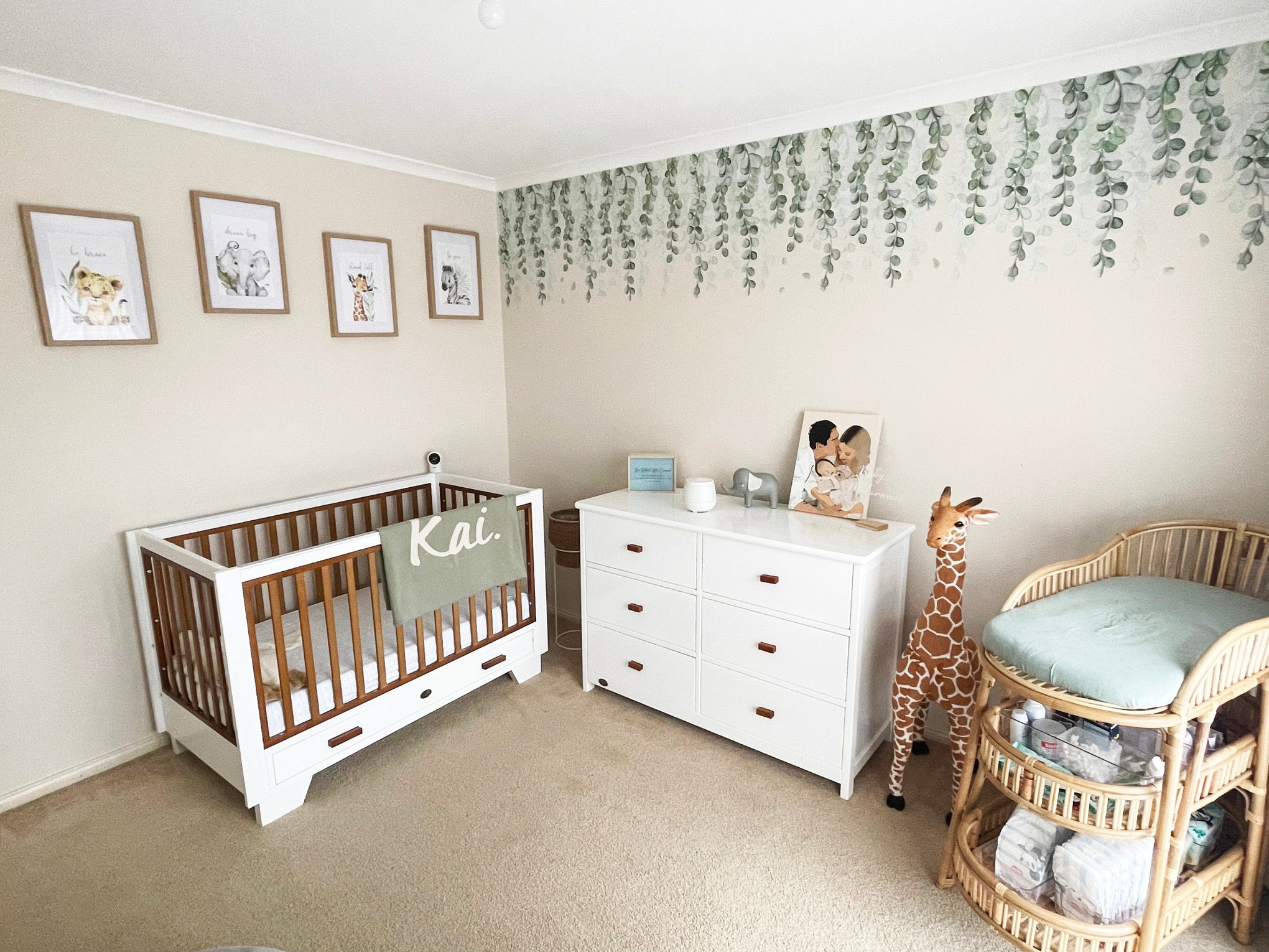 Polka Art Wall Decal One Size (128cm x 65cm) Botanical Greens Australian Design Hand Painted Peel & Stick, Removable Wall Decal. Nursery, Kids Playroom, Kids Teens Bedroom