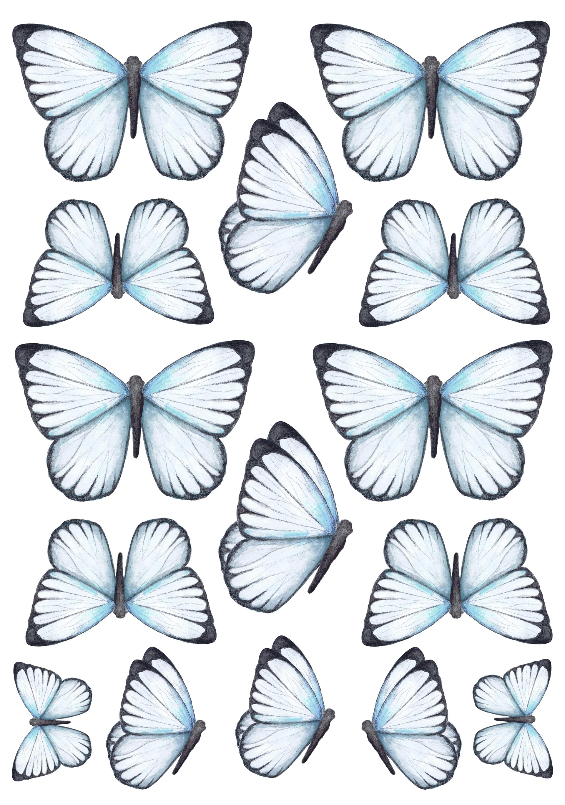 Polka Art Wall Decal Pastel Butterflies Australian Design Hand Painted Peel & Stick, Removable Wall Decal. Nursery, Kids Playroom, Kids Teens Bedroom