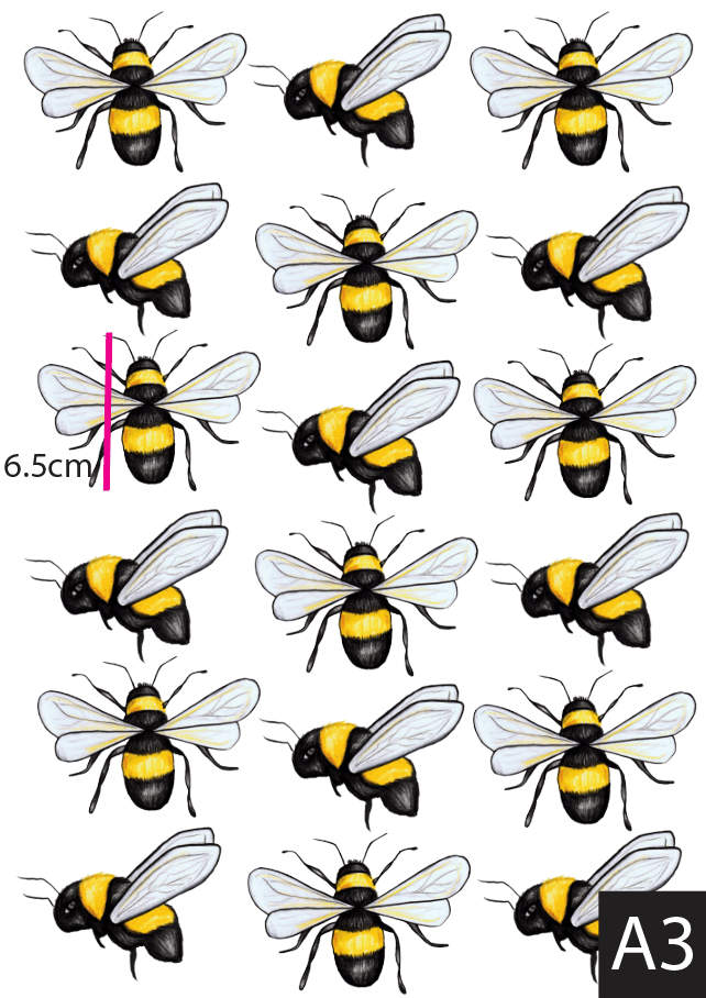 Polka Art Wall Decal The Flowers & The Bees Australian Design Hand Painted Peel & Stick, Removable Wall Decal. Nursery, Kids Playroom, Kids Teens Bedroom
