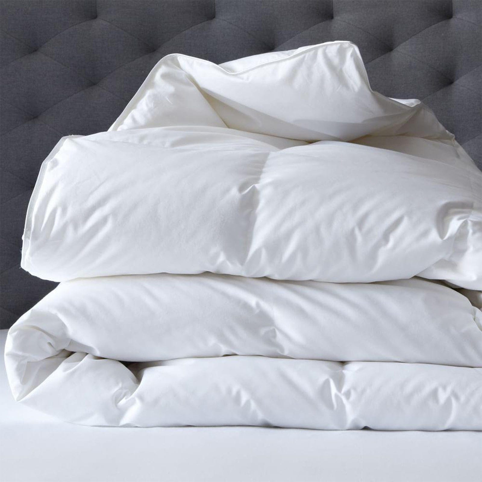 Renee Taylor Duvet/Quilt 600 GSM Deluxe Quilt with Cotton Cover premium Microfiber Filling