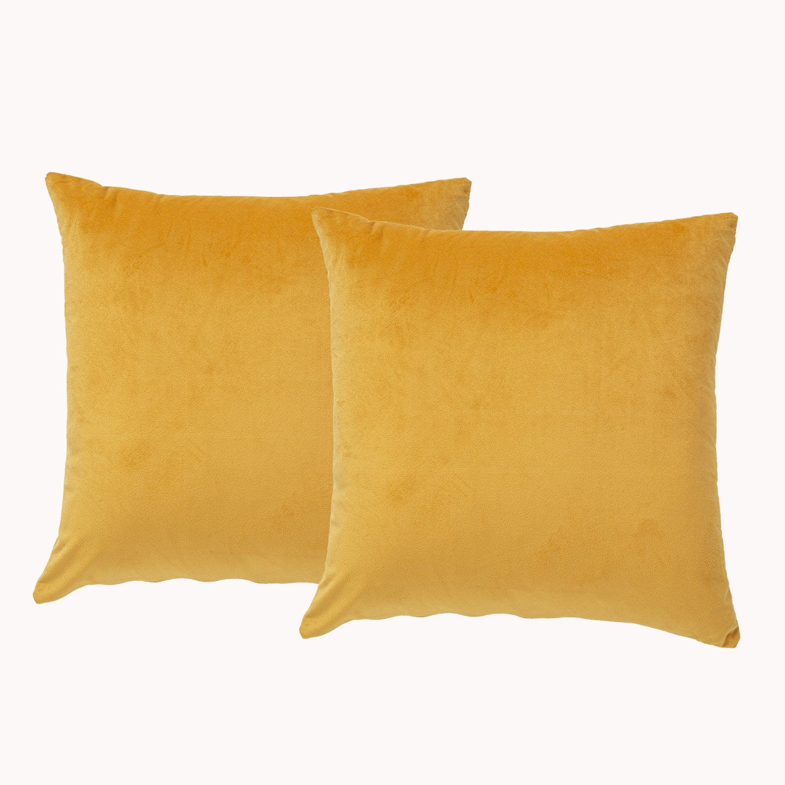 Renee Taylor Cushion Poly Velvet Printed Cushion filled 50 x 50 Cms  Chai- Twin Pack