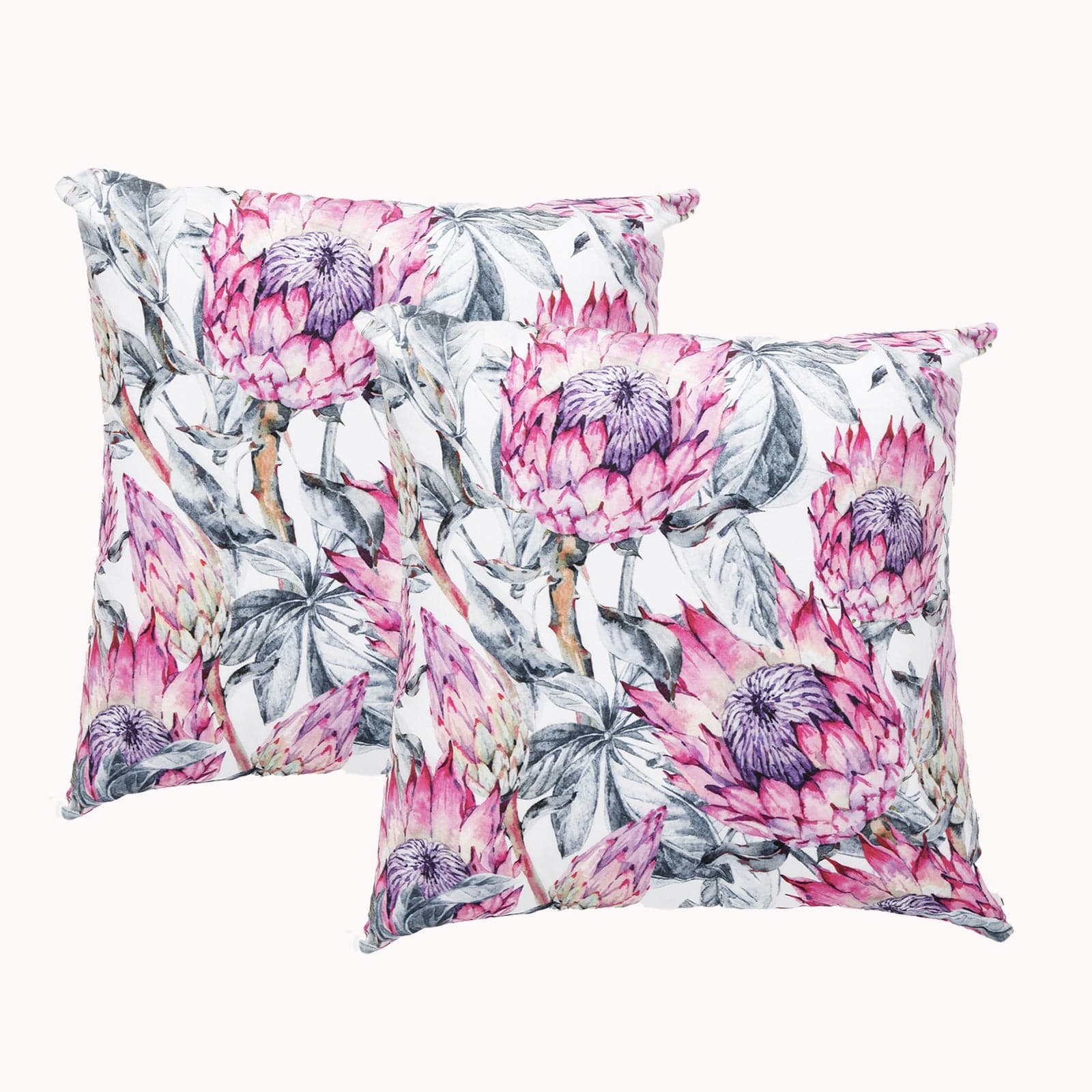 Renee Taylor Cushion Poly Velvet Printed Cushion filled 50 x 50 Cms  Protea- Twin Pack