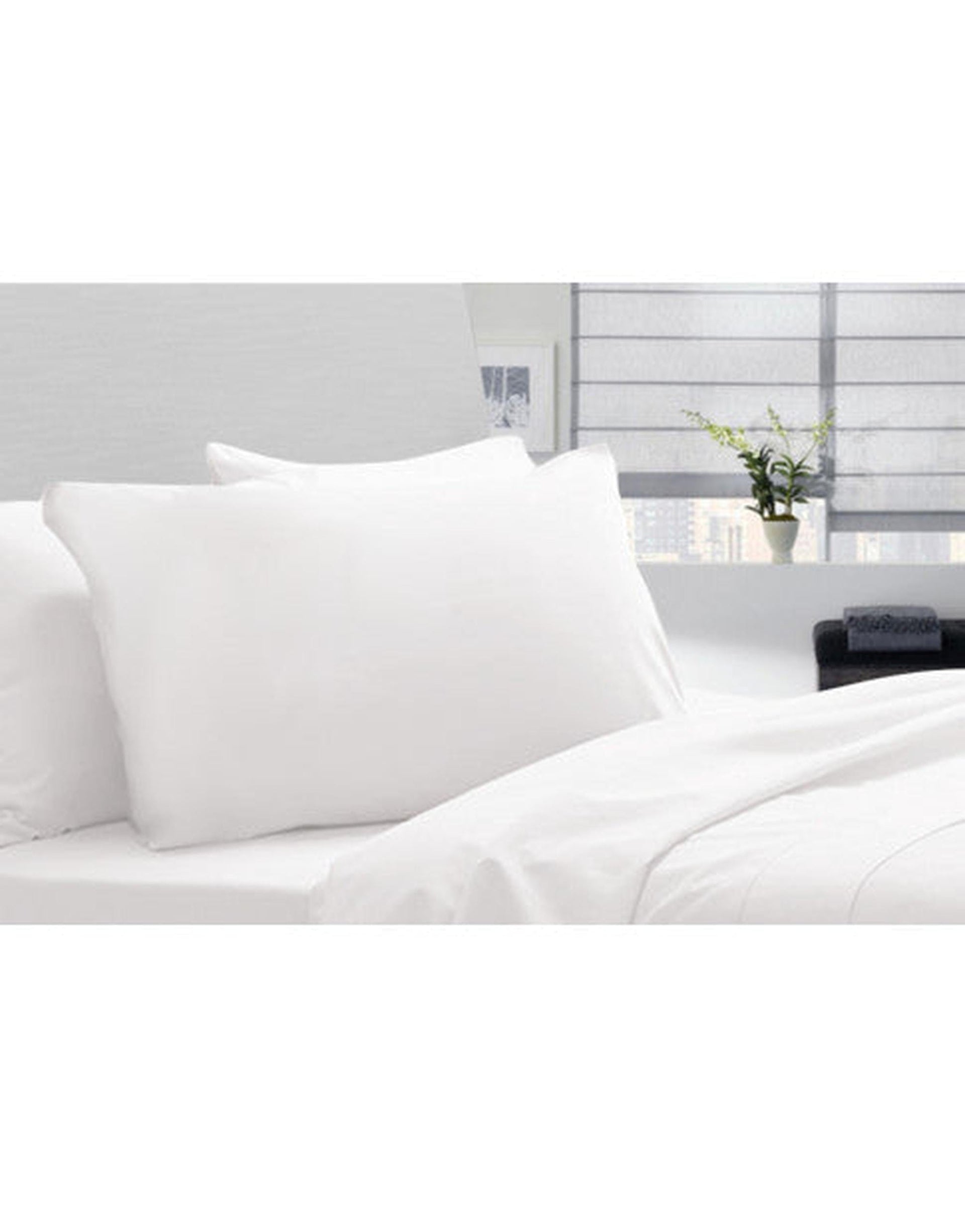 Royal Comfort Pillows/Cushions Royal Comfort Cotton 233 TC Luxury Signature Hotel Soft Hypoallergenic Pillow 50 x 90 cm White