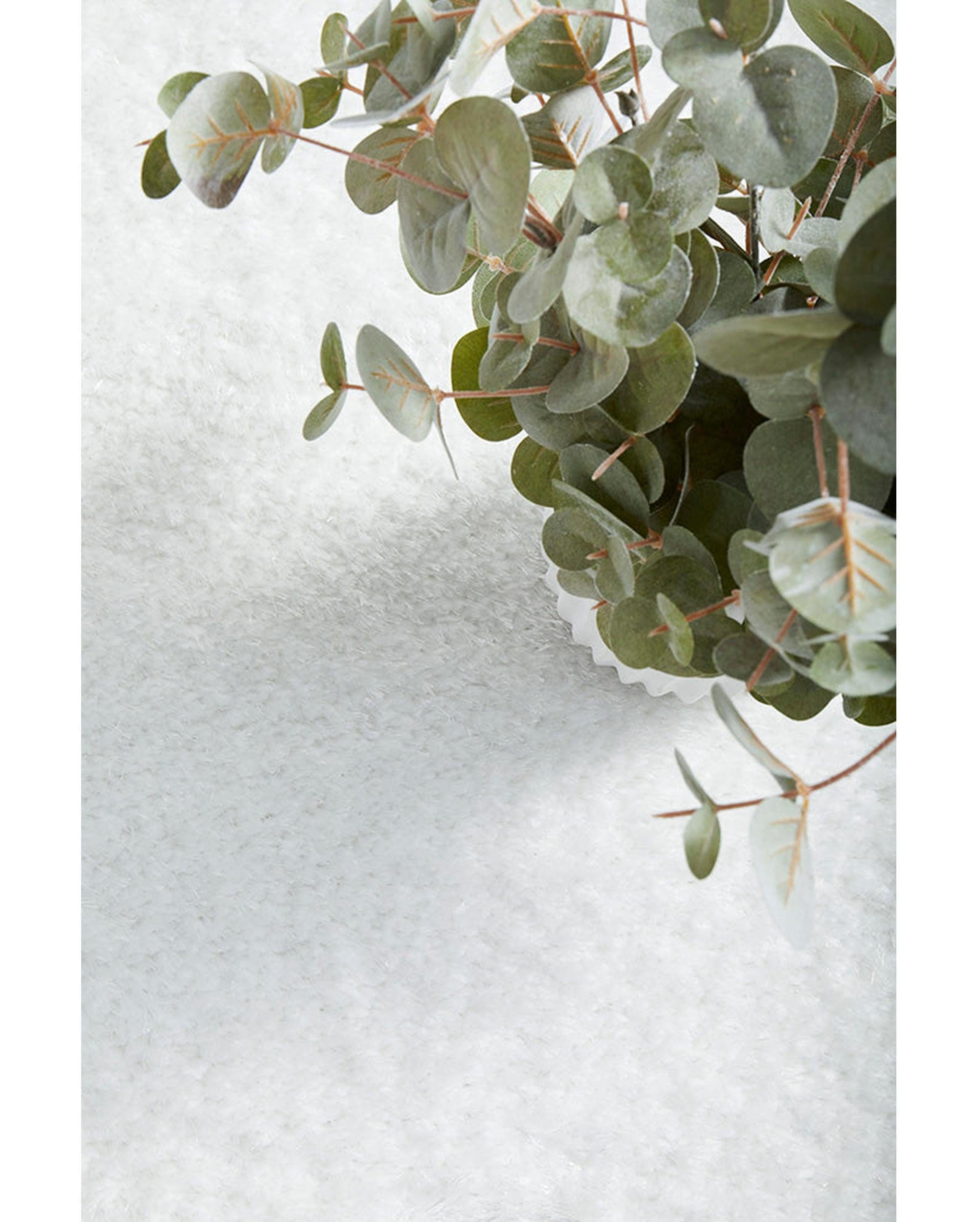 RUG CULTURE Rugs Sienna White Rug